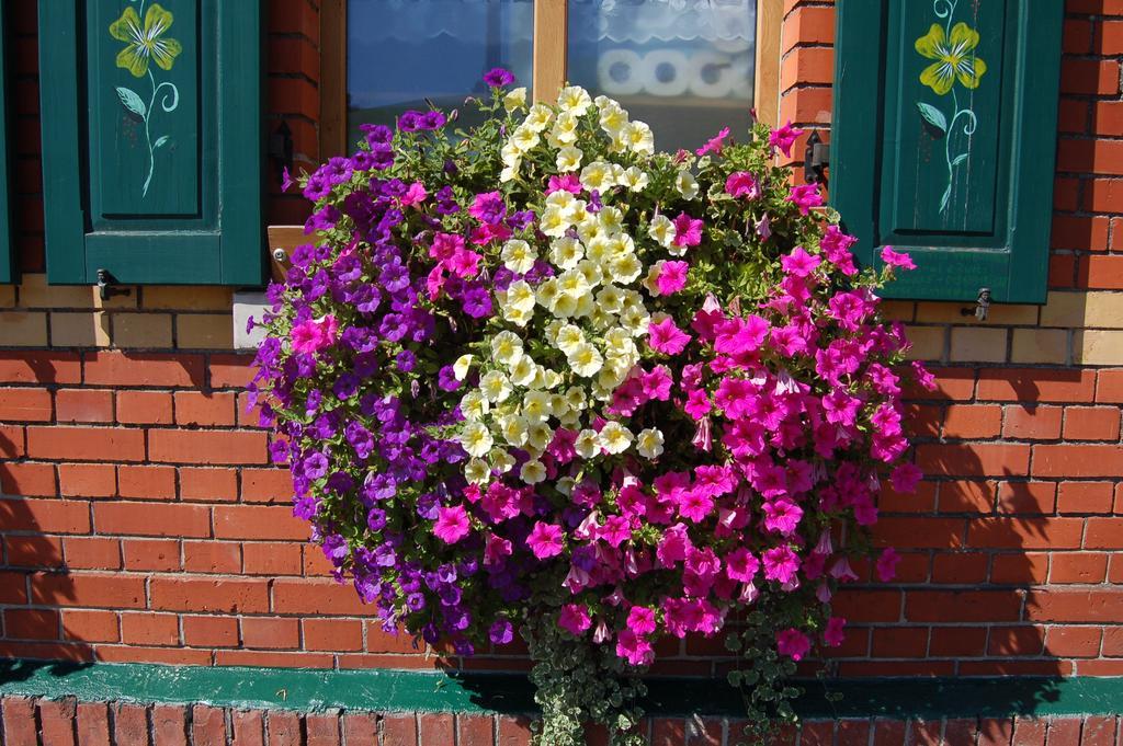 Berggasthaus & Pension Schoene Aussicht 클링겐터 외부 사진